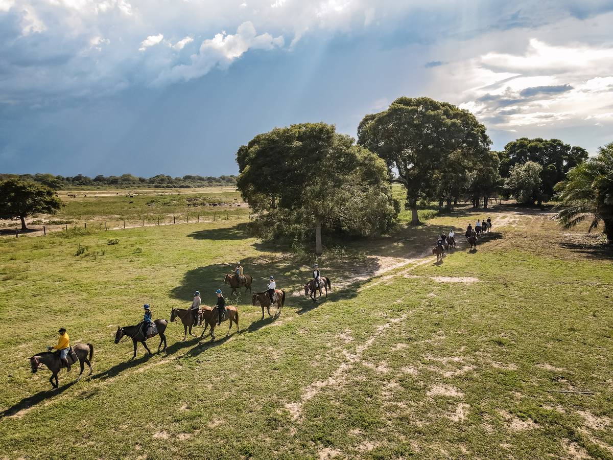 Passeios no Pantanal: por que fazer cavalgada no cerrado do Mato Grosso? -  Rede de Hotéis Mato Grosso