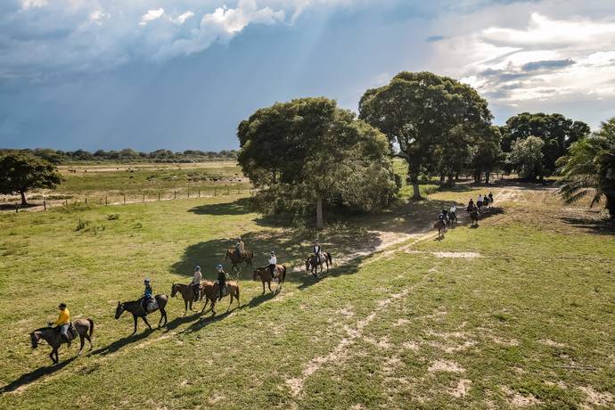 Passeios a cavalo que são ótimas pedidas para conhecer a natureza  pantaneira de pertinho